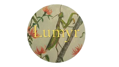 (C) Lumyr 2026