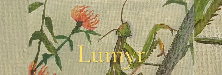 Lumyr banner